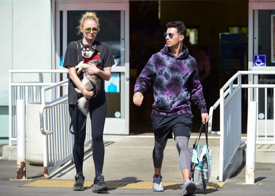 Pregnant Sophie Turner Covers Baby Bump With Puppy While Out With Joe Jonas