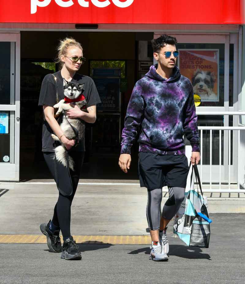 Pregnant Sophie Turner Covers Baby Bump With Puppy While Out With Joe Jonas