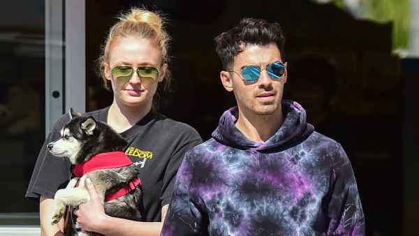 Pregnant Sophie Turner Covers Baby Bump With Puppy While Out With Joe Jonas