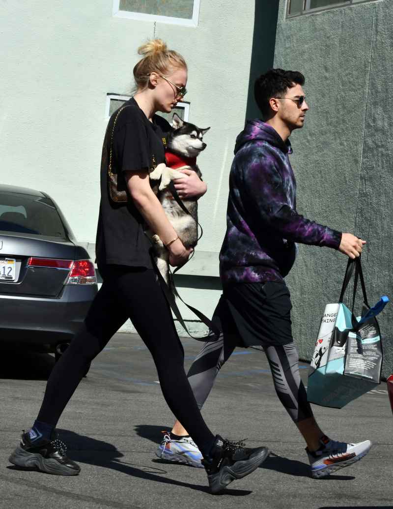 Pregnant Sophie Turner Covers Baby Bump With Puppy While Out With Joe Jonas