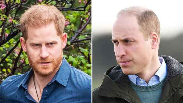 Prince Harry Prince William Still Feel Anger Towards Each Other