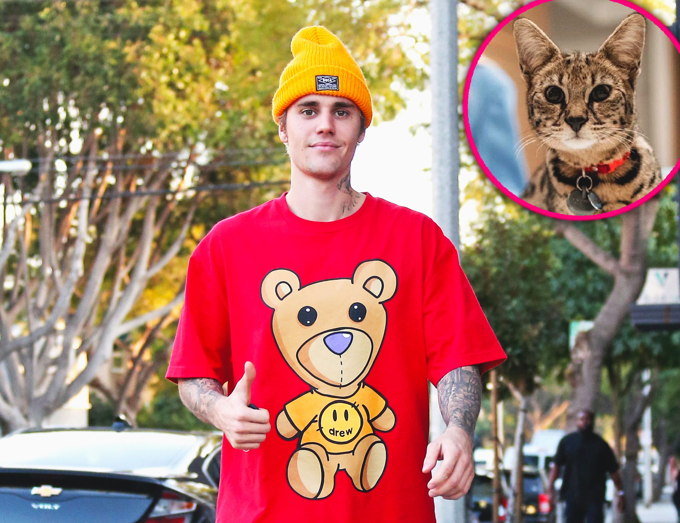 Sandra Lee Finds Justin Bieber’s Missing Cat Sushi 3 Weeks After It's Disappearance