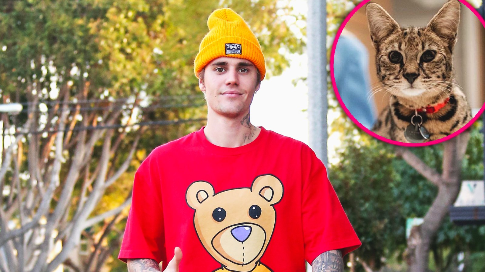 Sandra Lee Finds Justin Bieber’s Missing Cat Sushi 3 Weeks After It's Disappearance