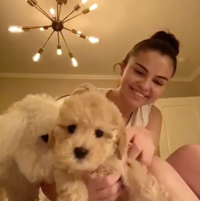 Selena Gomez Adopts New Puppy Named Daisy