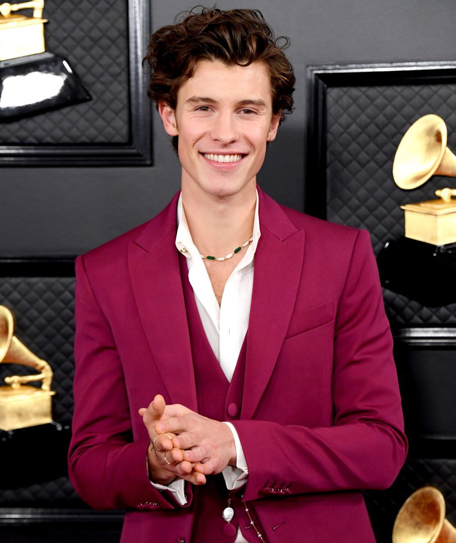 Shawn Mendes coronavirus gives back