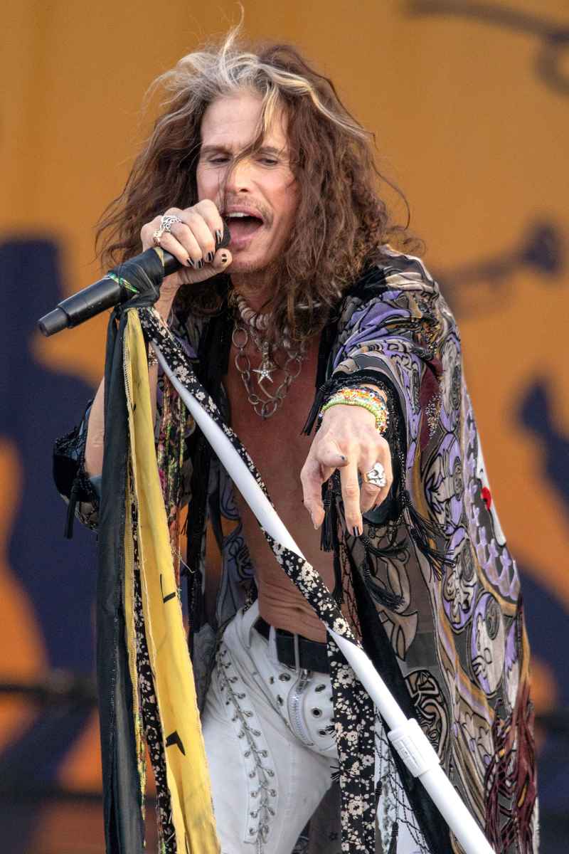 Steven Tyler Stars Who Have Undergone Vocal Surgery