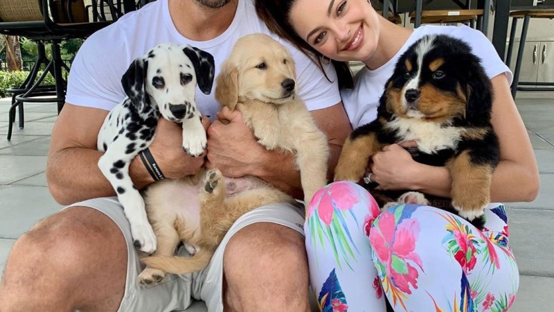 Tim Tebow Instagram Stars Adopting or Fostering Pups Amid Coronavirus
