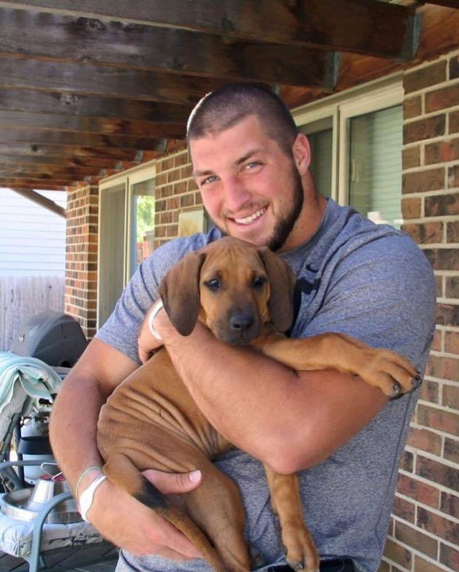 Bronco Tim Tebow and Demi-Leigh Nel-Peters Welcome Three New Puppies