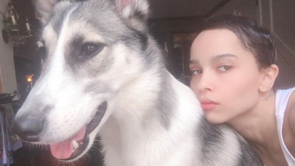 Zoe Kravitz Claps Back Over Skin-Lightening Claim Instagram