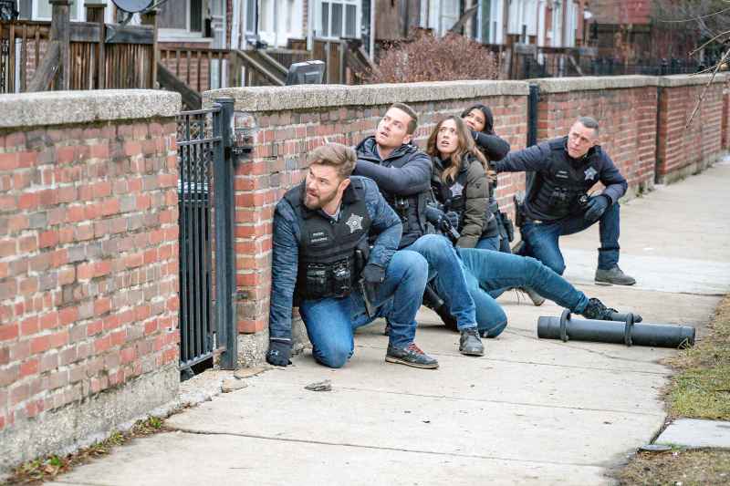 John Flueger Jesse Lee Soffer Marina Squerciati Lisseth Chavez and Jason Beghe in Chicago PD TV Shows to Binge That Honor First Responders