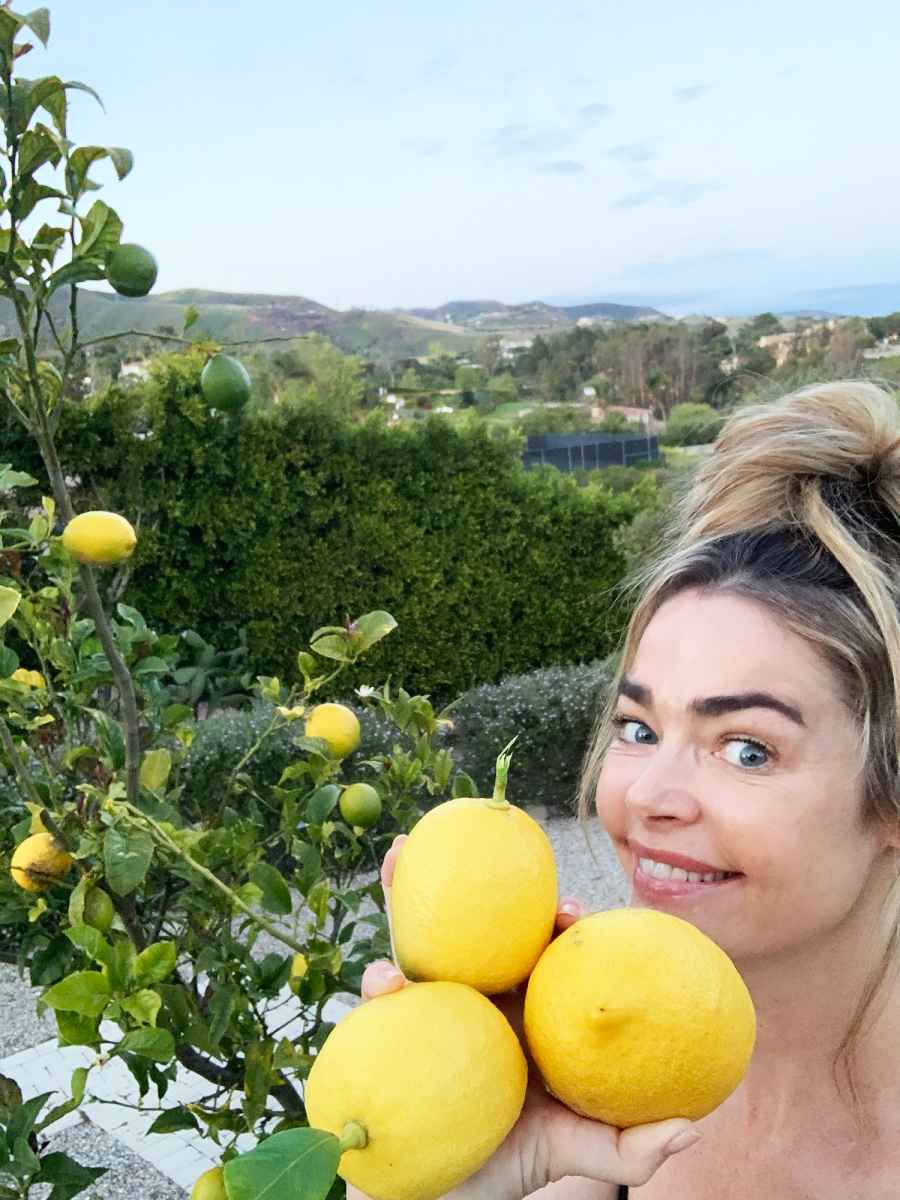 2 Denise Richards lemons