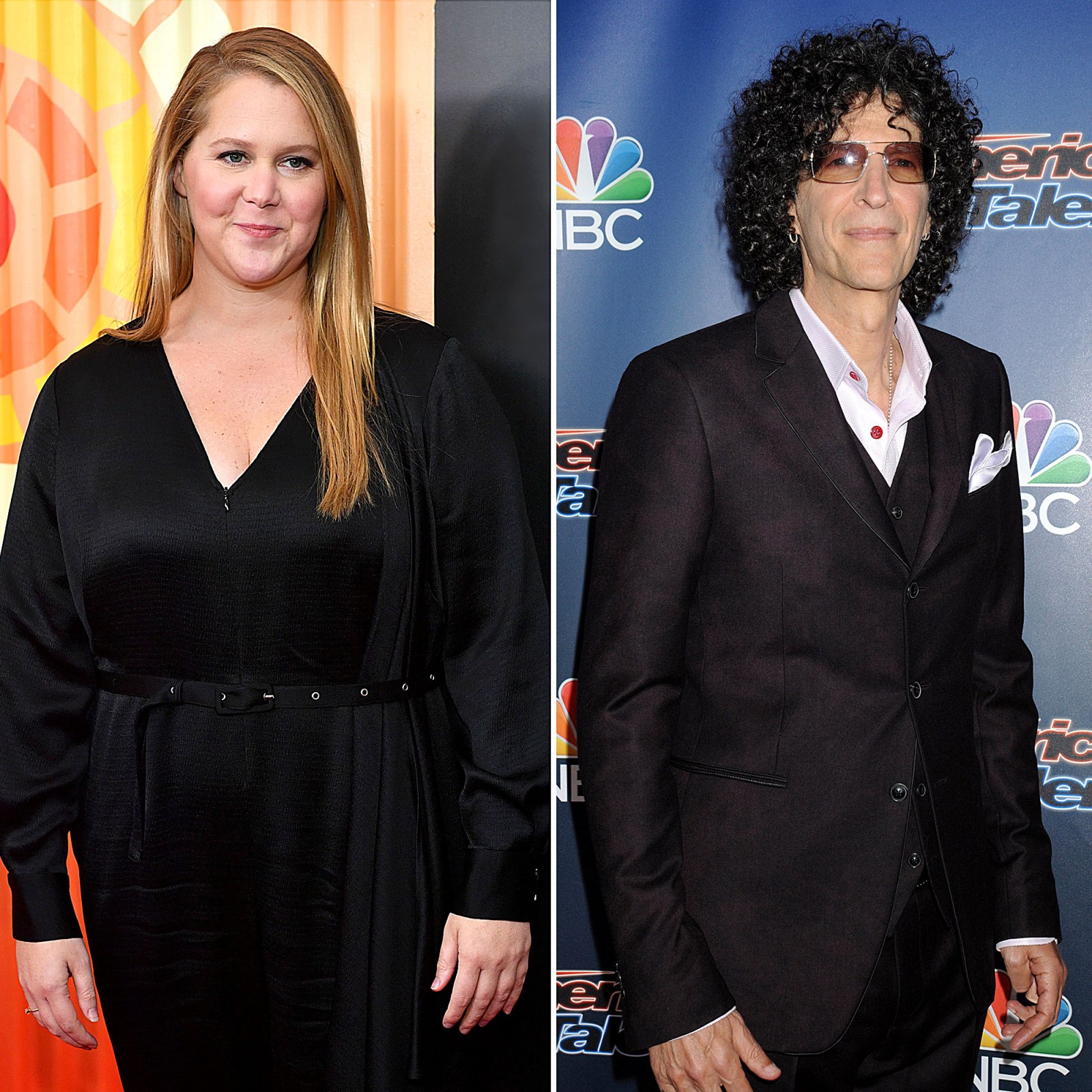 6 Revelations From Amy Schumer Howard Stern Interview