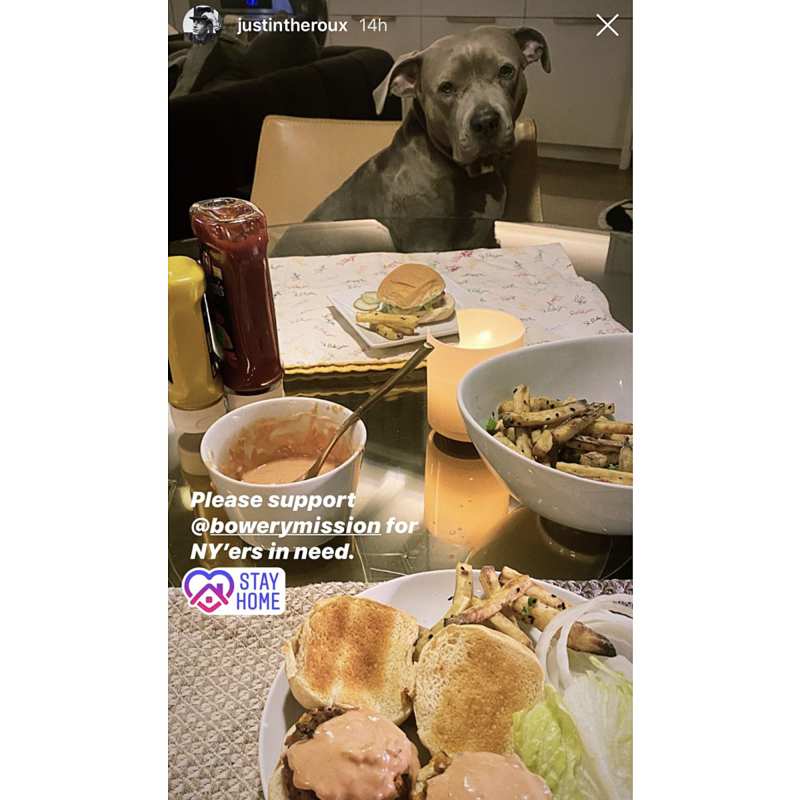 All the Fancy Dinners Justin Theroux Has Had With His Dog Kuma Quarantine