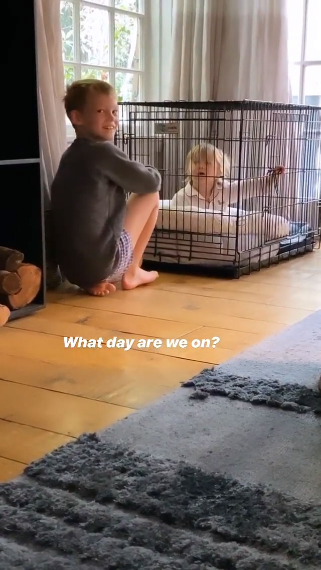 Hilary Duff Son Luca Locks Little Sister Banks in Dog Crate During Quarantine