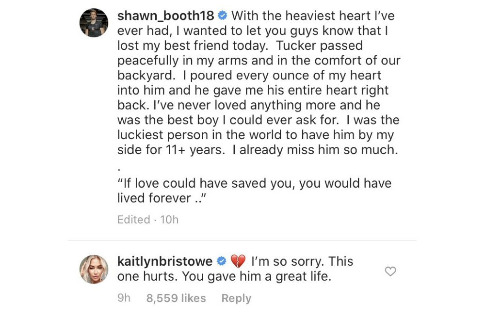 Kaitlyn Bristowe Sends Love to Ex-Fiance Shawn Booth After His Dog Tucker Dies 2