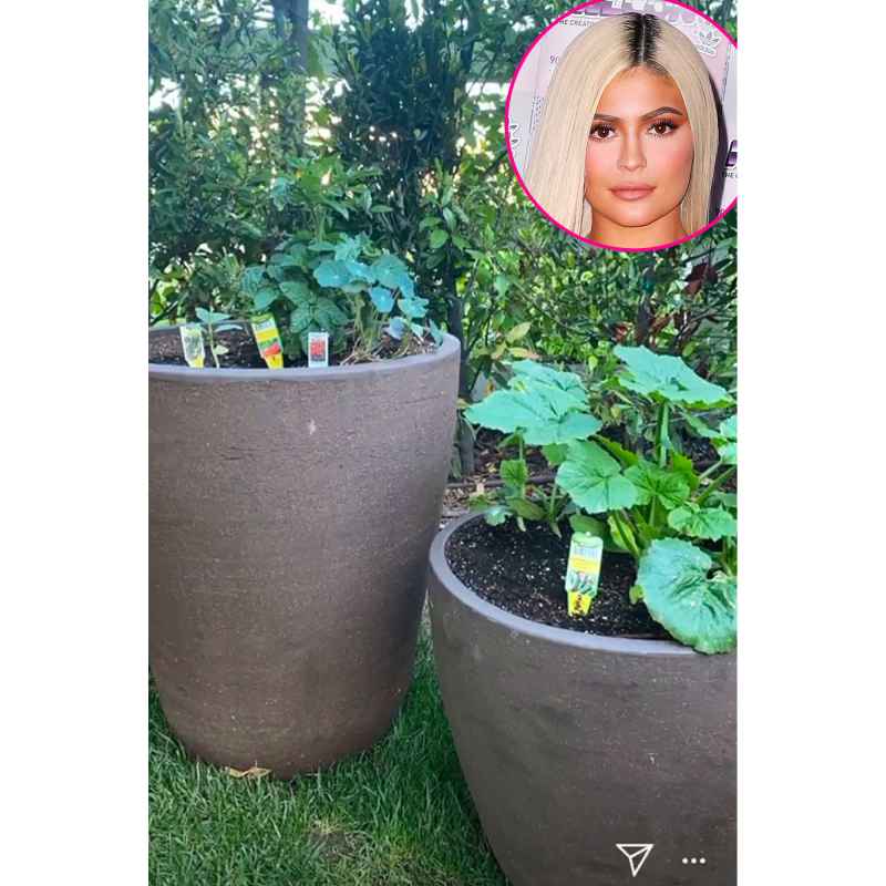 Kylie Jenner Gardening During Quarantine