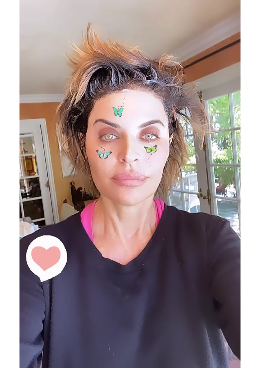 Lisa Rinna Enlists Harry Hamlin to Help Her Color Her Grays