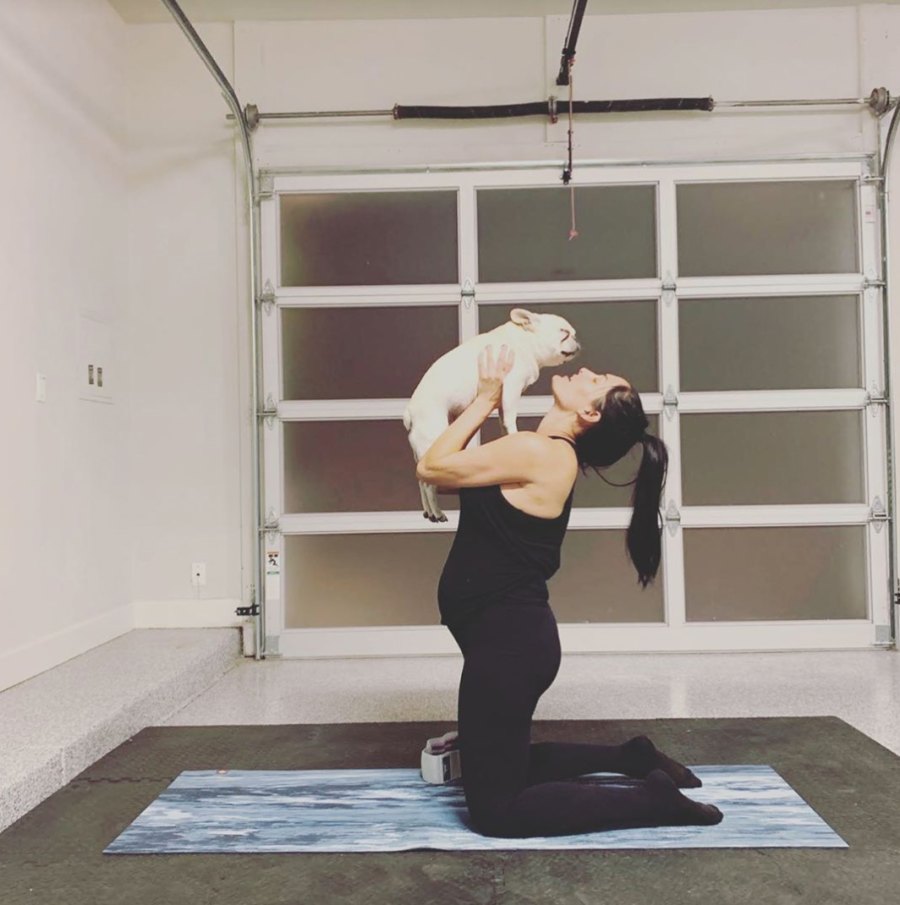 Nikki Bella dog workout pregnant