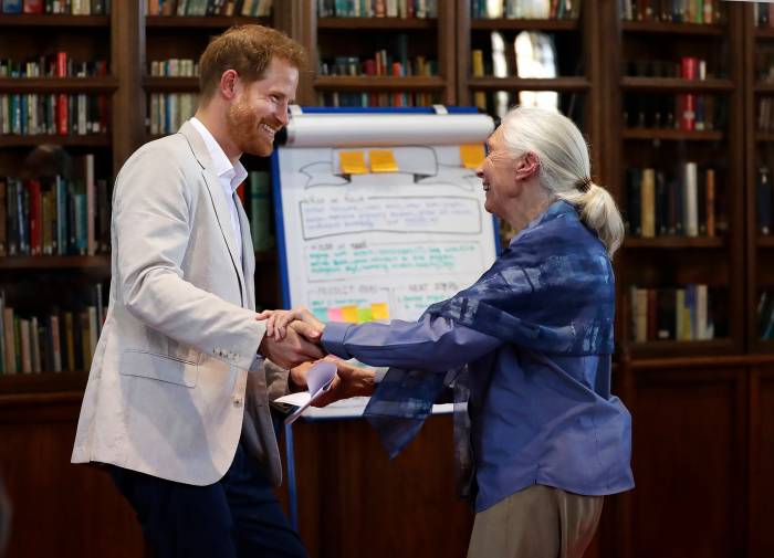 Prince Harry Is Finding Life a Bit Challenging in Los Angeles Jane Goodall p