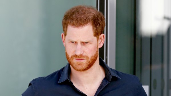 Prince Harry Loses Royal Title and Surname in New Travalyst Documents
