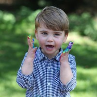 Prince William, Duchess Kate’s Son Prince Louis&#39; 2nd Birthday Pics