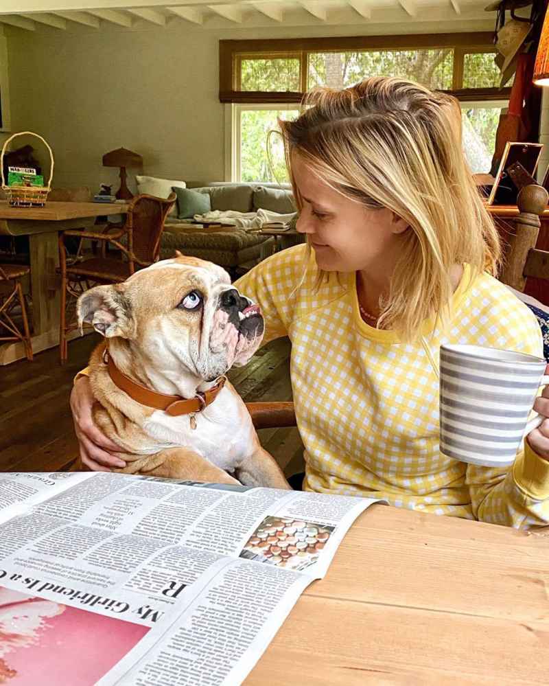 Reese Witherspoon dog