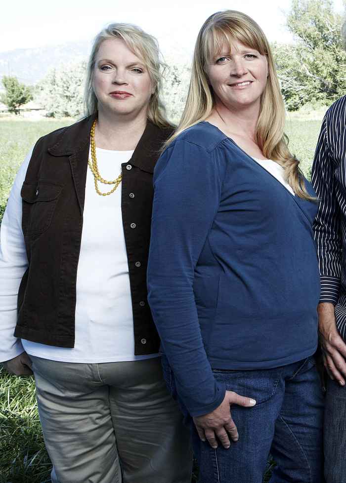 Sister Wives Sneak Peek Janelle Brown Christine Brown Reflect on Their Interesting Coparenting Relationship