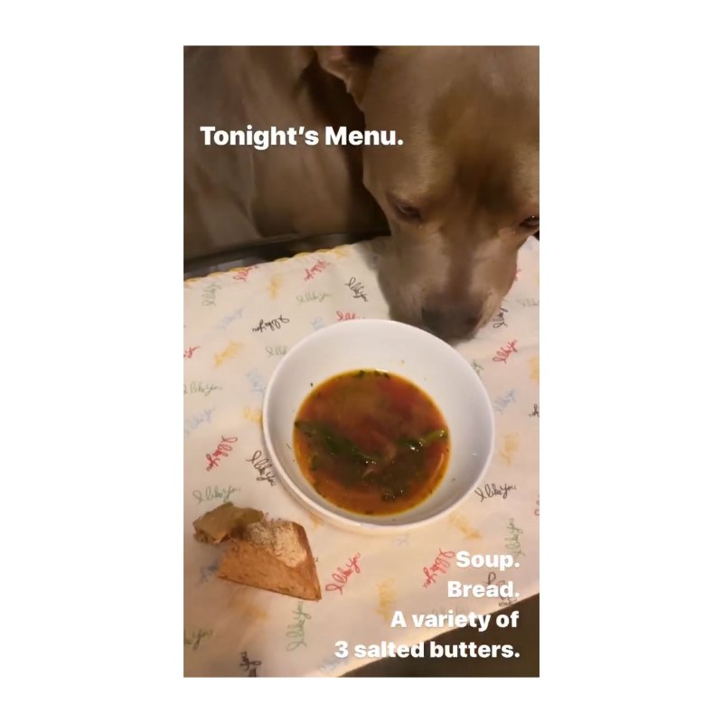 Soup Pals Fancy Dinners Justin Theroux Has Had With His Dog in Quarantine