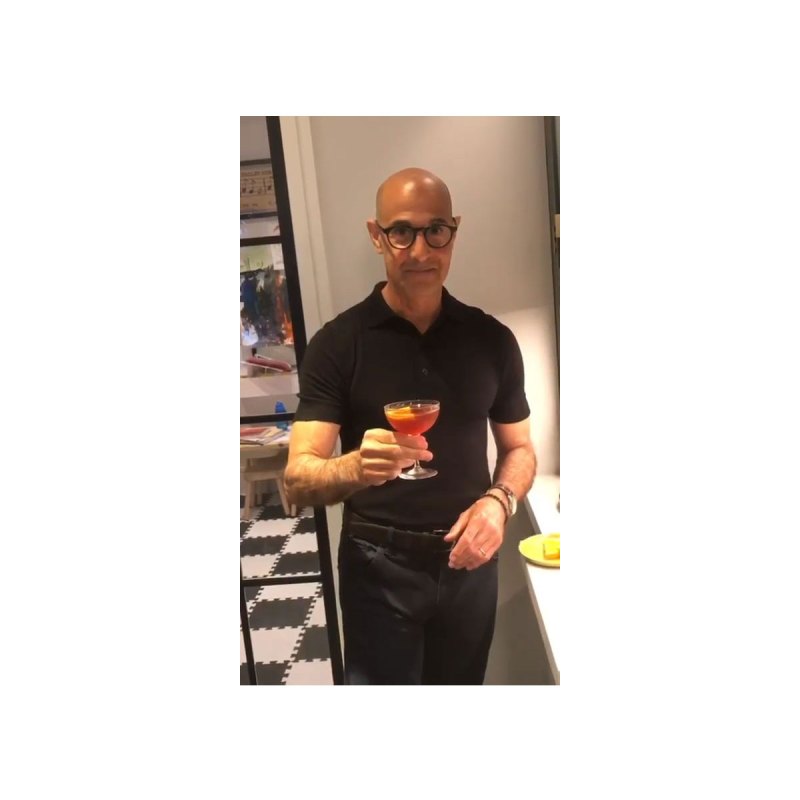 Stanley Tucci Shows Off Impressive Cocktail Mixing Skills