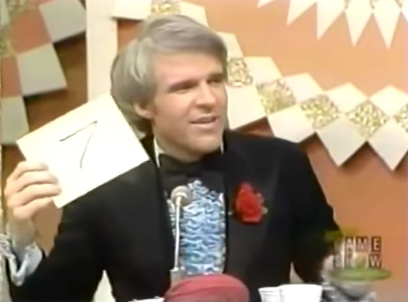Steve Martin The Gong Show Stars Who Appeared on Game Shows Before They Were Famous