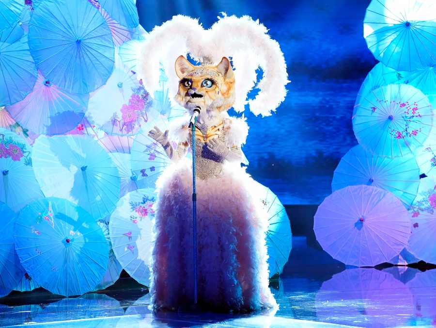 The Masked Singer kitty