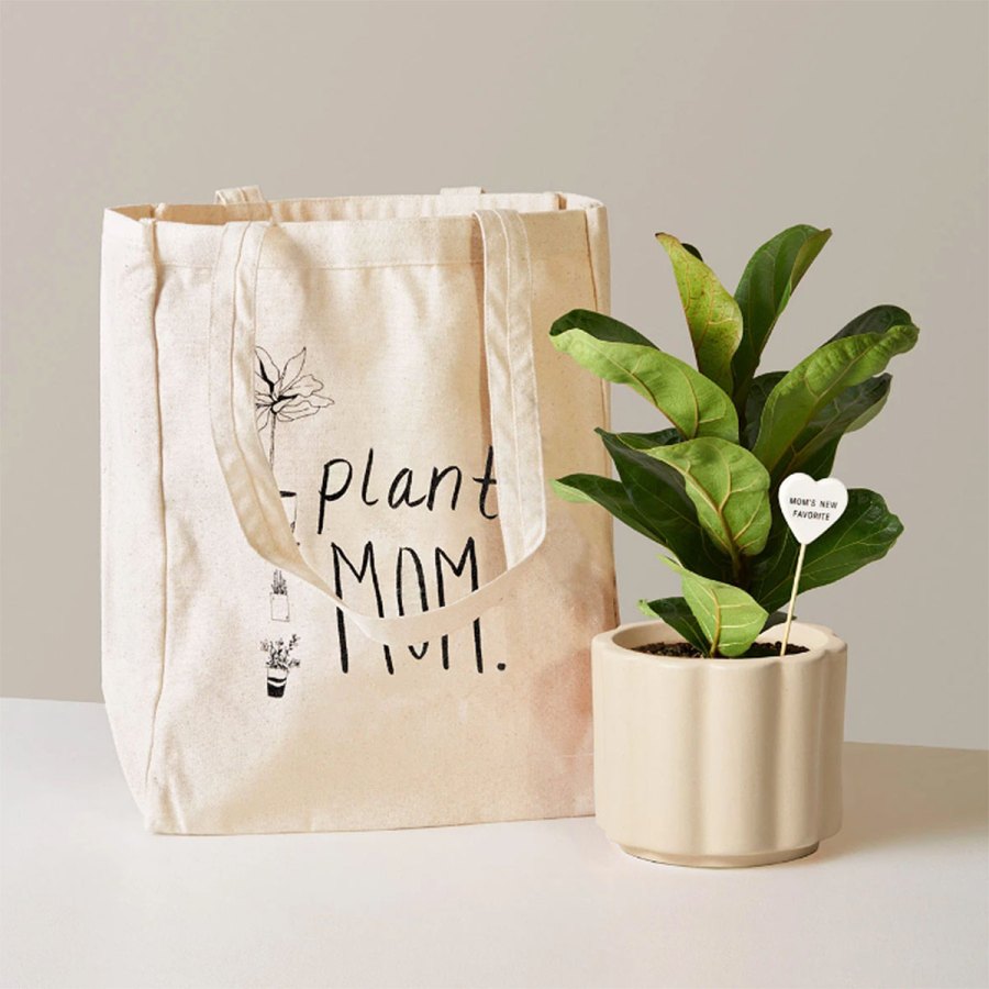 plant-mom-set