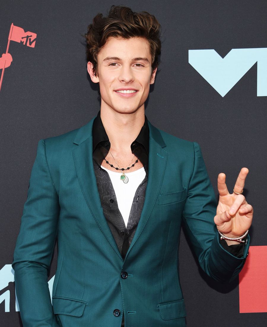 Shawn Mendes Stars Share Their Favorite Restaurants and Encourage People to Order Local