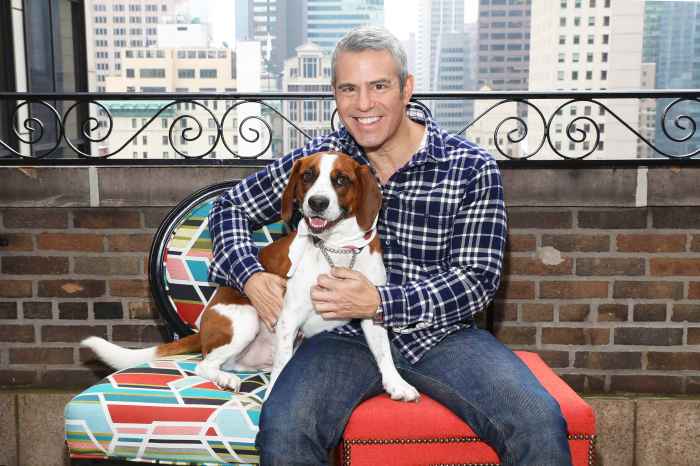 Andy Cohen Says He Rehomed His Rescue Dog Wacha Because of 'Aggression'