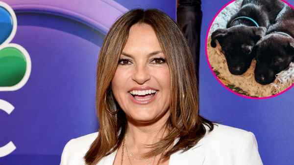 Mariska Hargitay Fosters 2 Puppies