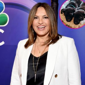 Mariska Hargitay Fosters 2 Puppies