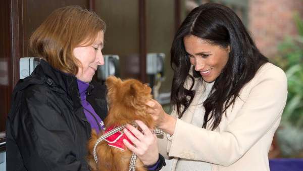 Meghan Markle Helping UK Animal Welfare Patronage Amid Pandemic