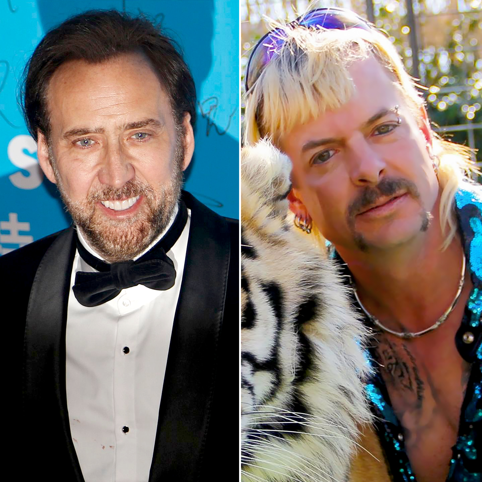 Nicholas Cage to Play Tiger King Joe Exotic