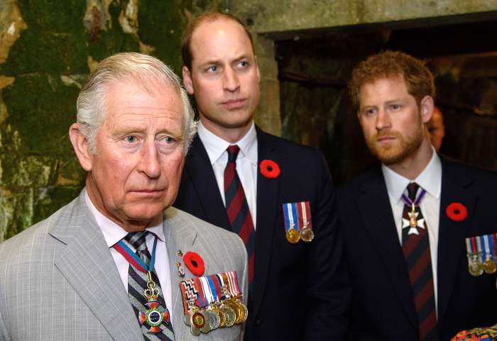 Prince Harry Is Back in Touch With Prince William After Prince Charles Coronavirus Battle