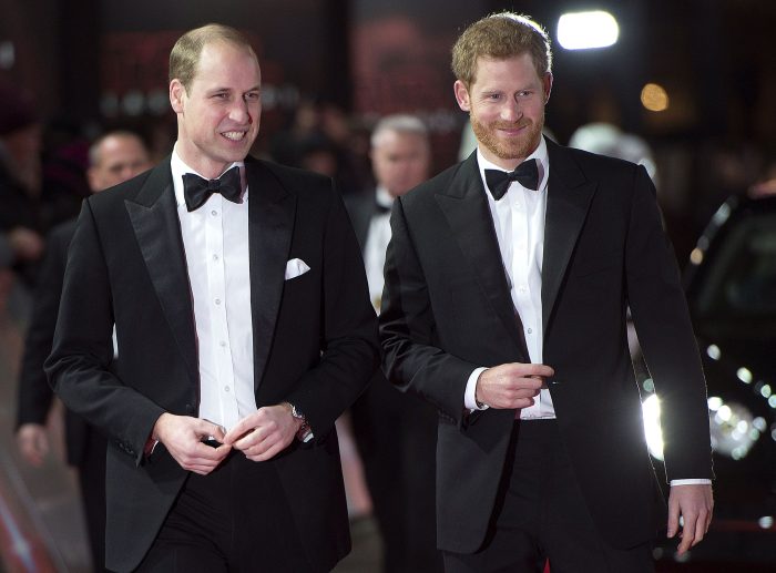 Prince William and Prince Harry Share Heartfelt Message