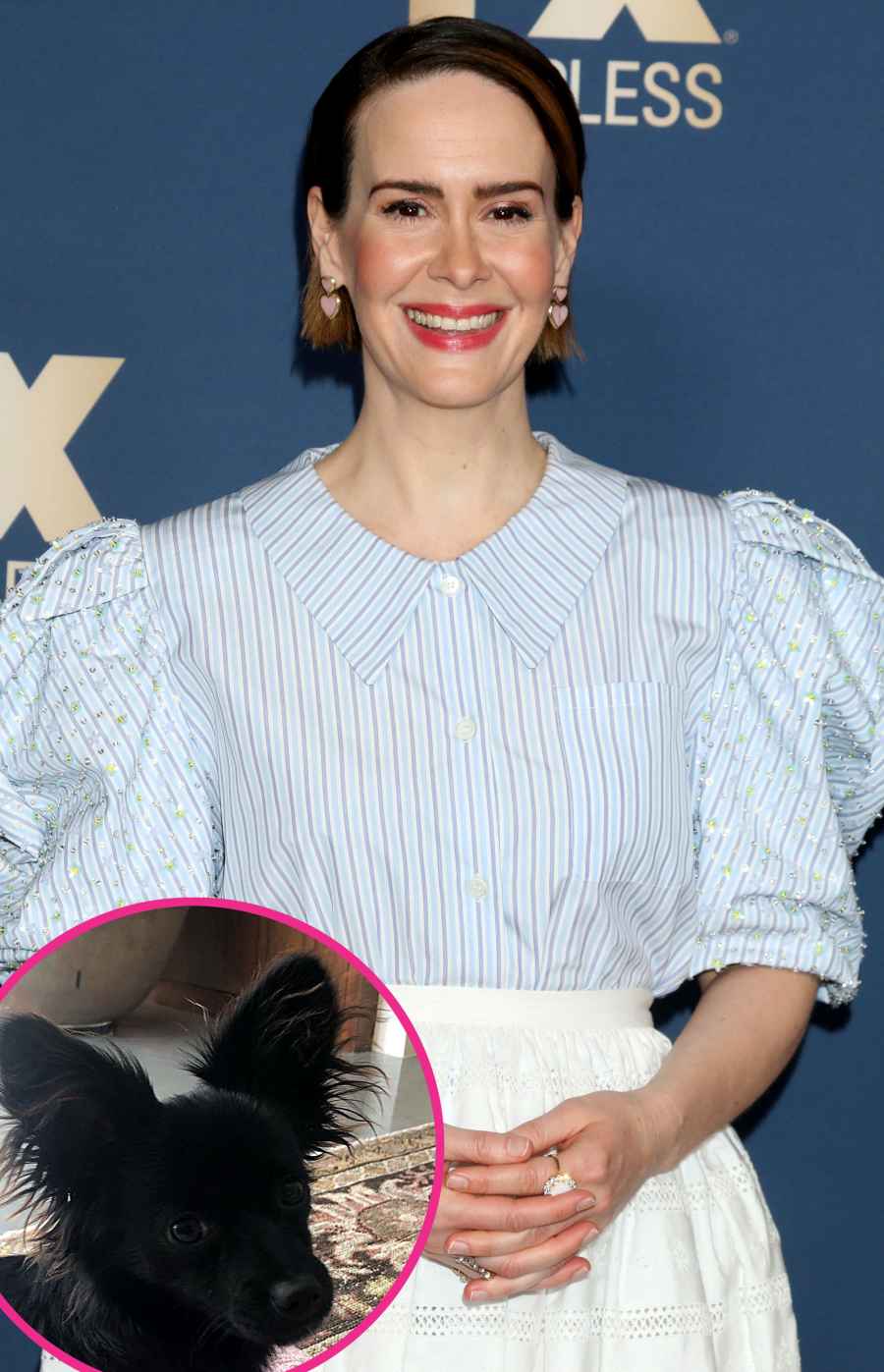 Sarah Paulson Stars Whove Adopted Fostered Pets Quarantine