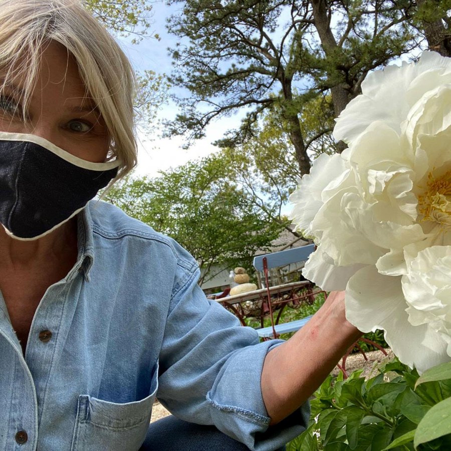 Christie Brinkley Stars Wearing Masks Amid Quarantine