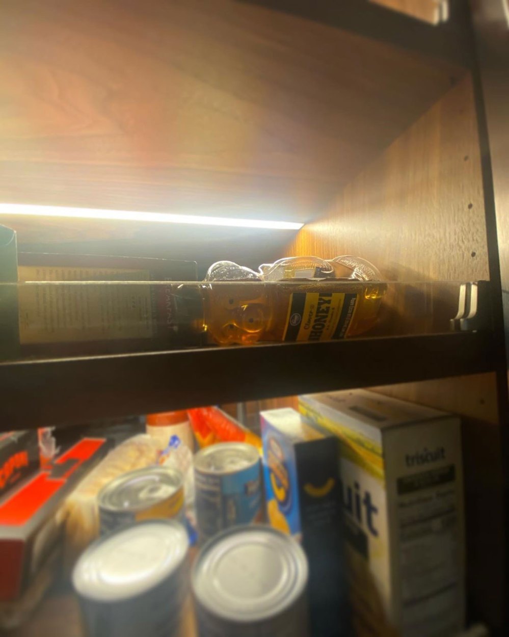 Timothee Chalamet Shares a Photo of His Pantry