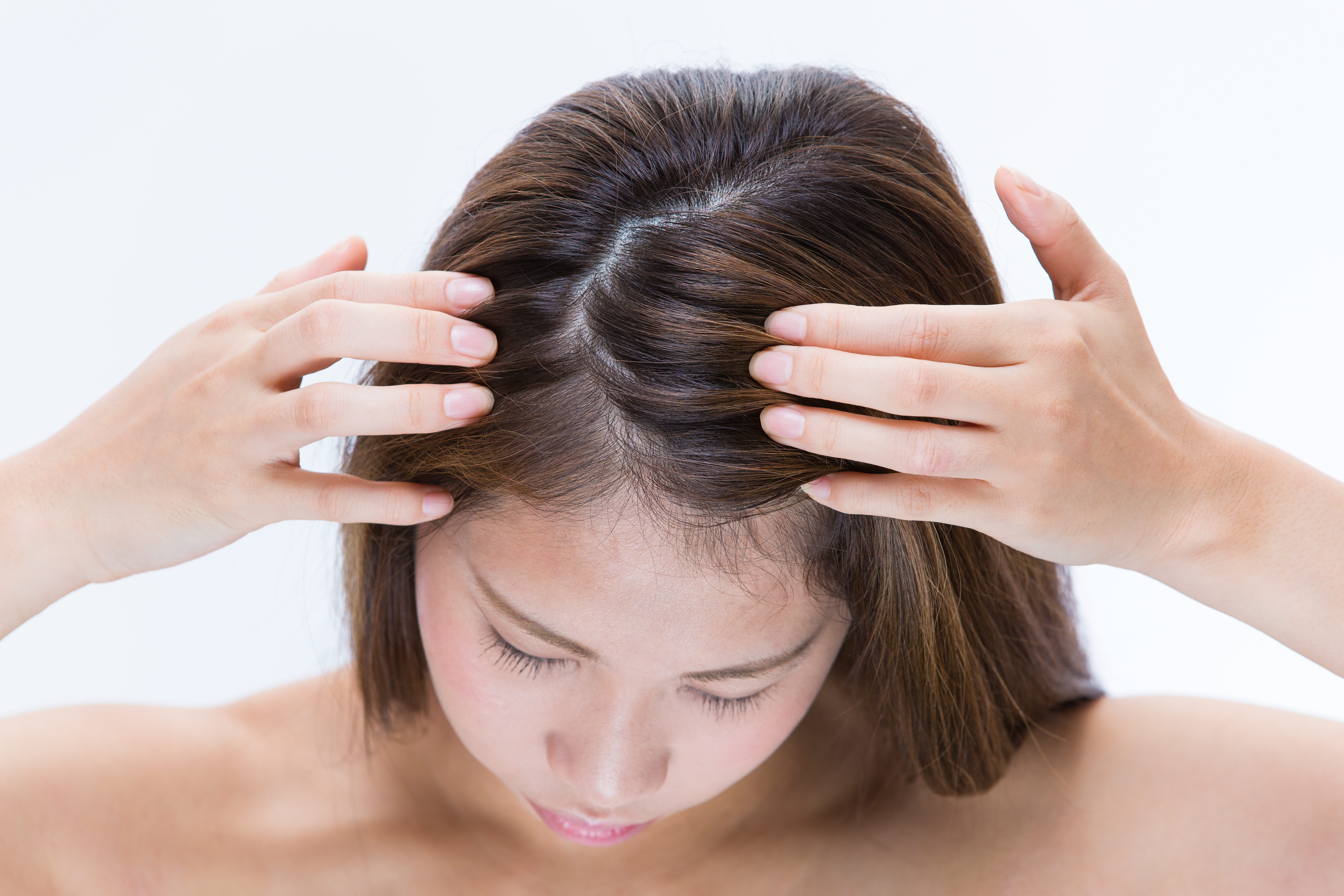 root touch up stock photo