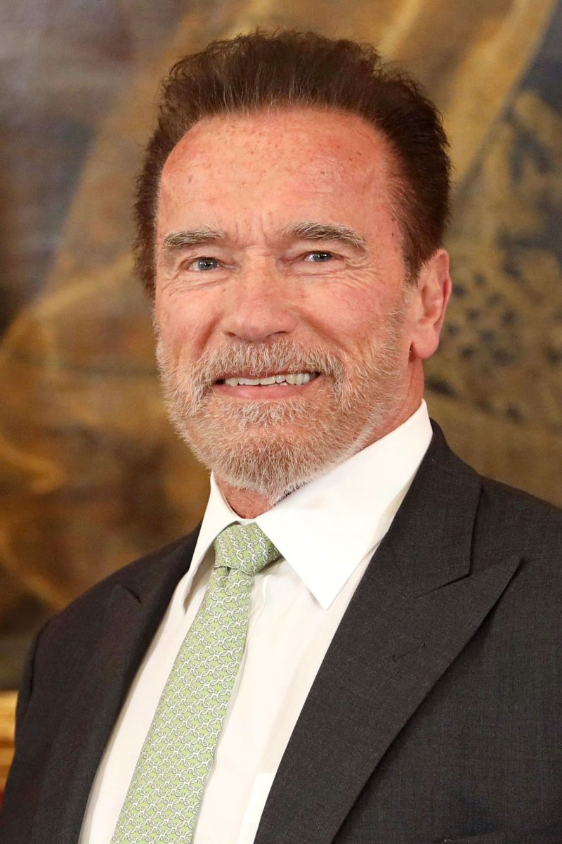 Arnold Schwarzenegger Stars Who Became US Citizens