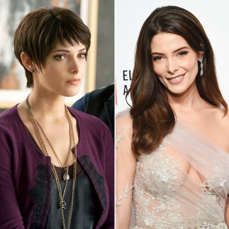 Ashley Greene Twilight Where are they now