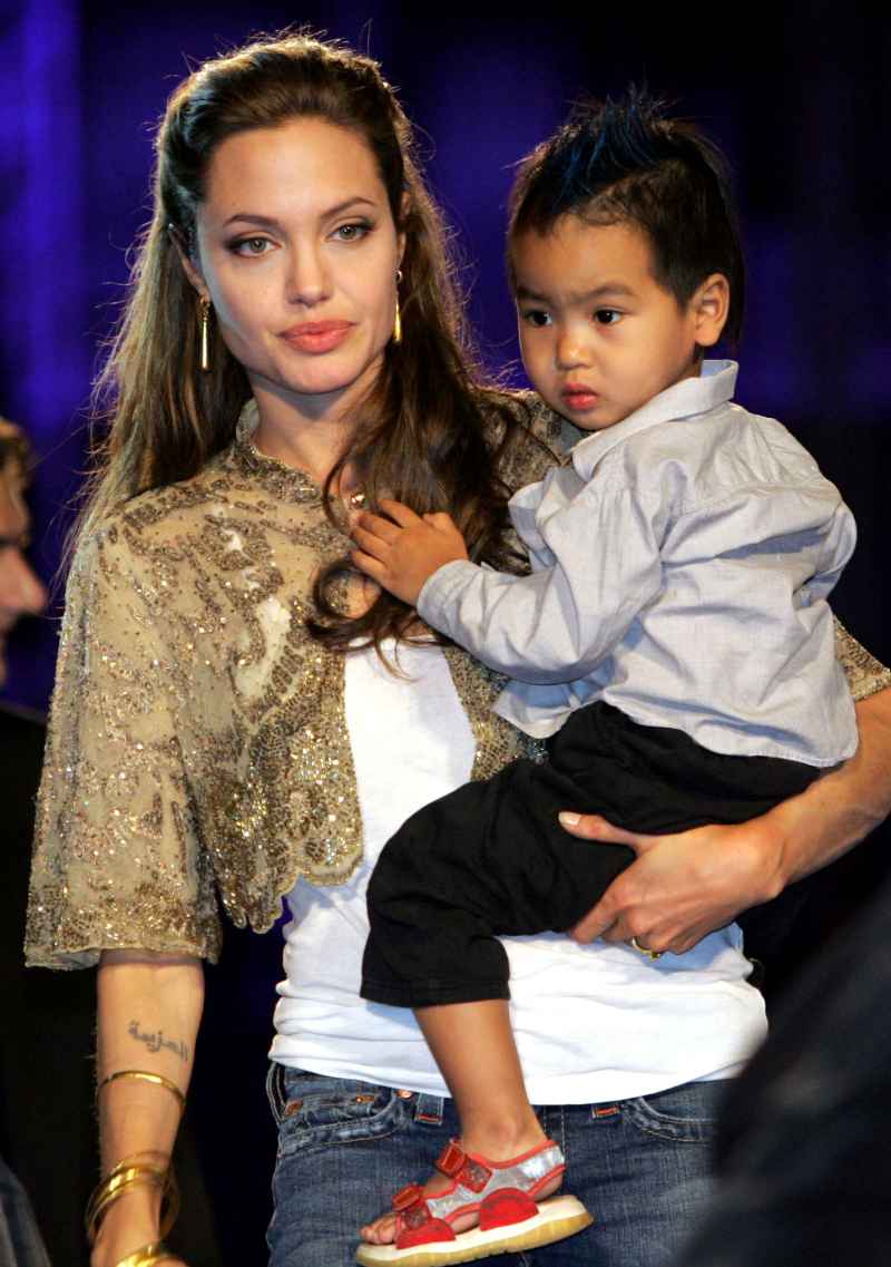 See Brad Pitt Angelina Jolie Family Album Pics With 6 Kids