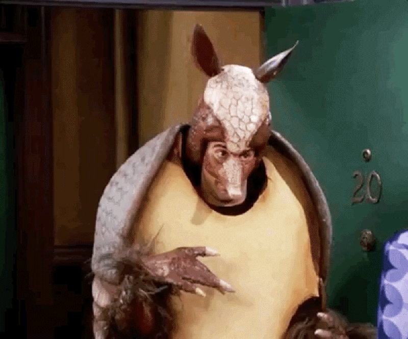 David Schwimmer The One With the Holiday Armadillo Friends Cast Reveal Their Favorite Episodes