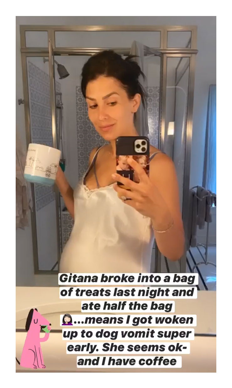 Hilaria Thomas Baldwin Coffee Baby Bump Dog Vomit Instagram