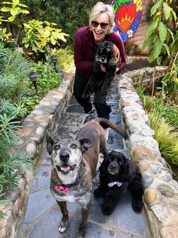 Jane Lynch Raves About ‘Really Tight Relationship’ With Her Dogs Amid Quarantine